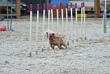 zomer wedstrijd someren zaterdag