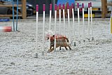 zomer wedstrijd someren zaterdag