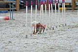 zomer wedstrijd someren zaterdag