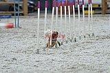 zomer wedstrijd someren zaterdag