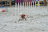 zomer wedstrijd someren zaterdag
