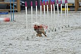 zomer wedstrijd someren zaterdag