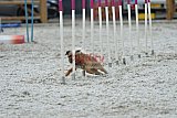 zomer wedstrijd someren zaterdag
