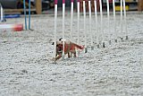 zomer wedstrijd someren zaterdag