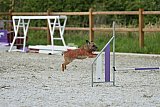 zomer wedstrijd someren zaterdag