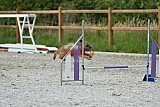 zomer wedstrijd someren zaterdag