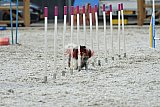 zomer wedstrijd someren zaterdag