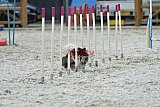 zomer wedstrijd someren zaterdag