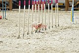 zomer wedstrijd someren zaterdag