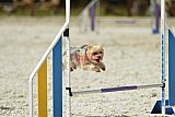 zomer wedstrijd someren zaterdag