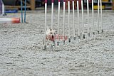 zomer wedstrijd someren zaterdag