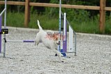 zomer wedstrijd someren zaterdag