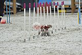 zomer wedstrijd someren zaterdag
