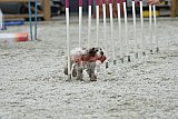 zomer wedstrijd someren zaterdag