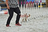 zomer wedstrijd someren zaterdag