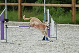 zomer wedstrijd someren zaterdag