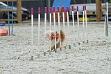 zomer wedstrijd someren zaterdag