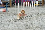 zomer wedstrijd someren zaterdag