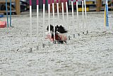 zomer wedstrijd someren zaterdag