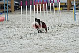 zomer wedstrijd someren zaterdag