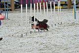 zomer wedstrijd someren zaterdag