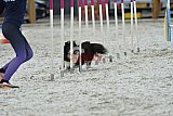 zomer wedstrijd someren zaterdag
