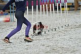 zomer wedstrijd someren zaterdag
