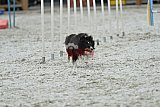 zomer wedstrijd someren zaterdag