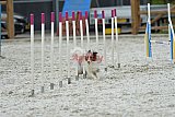 zomer wedstrijd someren zaterdag