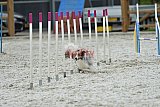 zomer wedstrijd someren zaterdag