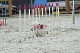 zomer wedstrijd someren zaterdag