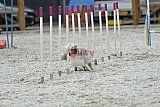 zomer wedstrijd someren zaterdag