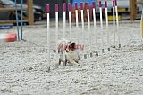 zomer wedstrijd someren zaterdag