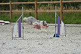 zomer wedstrijd someren zaterdag