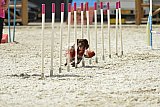 zomer wedstrijd someren zaterdag