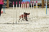 zomer wedstrijd someren zaterdag