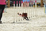zomer wedstrijd someren zaterdag
