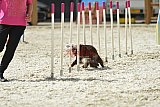 zomer wedstrijd someren zaterdag