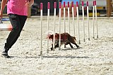 zomer wedstrijd someren zaterdag