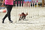 zomer wedstrijd someren zaterdag