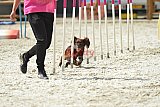 zomer wedstrijd someren zaterdag