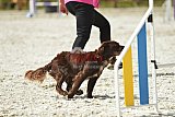 zomer wedstrijd someren zaterdag