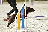 zomer wedstrijd someren zaterdag