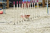 zomer wedstrijd someren zaterdag