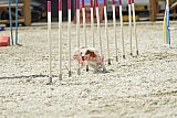 zomer wedstrijd someren zaterdag