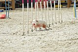 zomer wedstrijd someren zaterdag