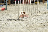 zomer wedstrijd someren zaterdag