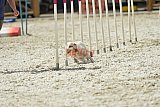 zomer wedstrijd someren zaterdag