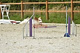 zomer wedstrijd someren zaterdag