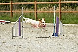 zomer wedstrijd someren zaterdag